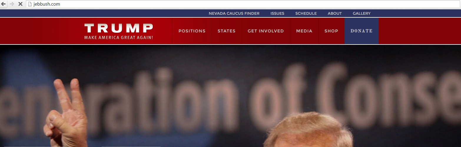 jebbush